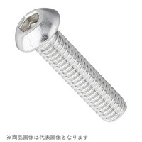 �{�^���L���b�v�{���g�i�X�e���j�@�U�w�Q�T�^�Q�o�b