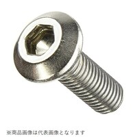 �r�t�r���[�^�[�{���g�^�x�`�l�`�g�`�@�l�W�w�Q�T�^�P