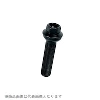 �z�C�[���{���g�@�a�����������i�r���b�N�j�@�{���g�@