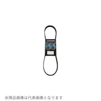 ���u�X�^�[�x���g