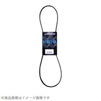 ���u�X�^�[�x���g