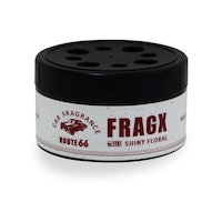 �����ԗp�F���܁@�V���C�j�[�t���[����