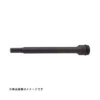 �R�^�W�C���`�@�w�b�N�X�\�P�b�g�@�p���[�^�C�v�@����