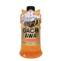 �J�[�V�����v�[�@�K�`�A���@�V�����v�[�@�N�����W���O