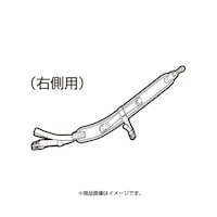 �V�����_�[�x���g�q