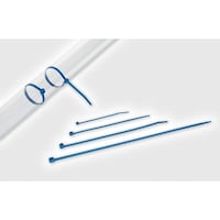 ���^���R���e���g�^�C�@�@�l�b�s�w�q�Q�O�O�|�a�k�t