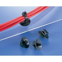 �v�c�V���}�E���g�@���F�@�r�e�b�R