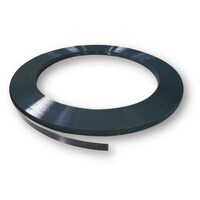 �����o���h�i�o���h�{�́j