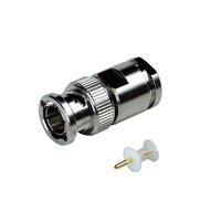 �a�m�b�^�X�g���[�g�v���O�k�a�m�b�|�T�b�n�s