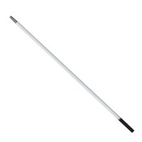 �V���o�[�t�B�b�V���[�P�ԊƂc�u�e�|�S�|�o