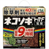 ���C���{�[�@�l�R�\�M�g�b�v�e���܁@�R�����@������