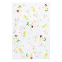 �i�`�������t�����[�n�o�o�M�t�g�o�b�O�|�S�@�T�O��