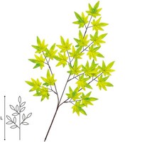 ���X�v���[�@�P�O�{��