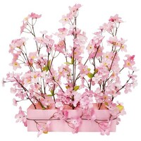 �c�w���A�����W�v�����^�[