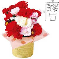 �J�[�l�[�V�������[�Y�X�^���h