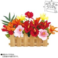 �n�C�r�X�J�X�_���A�����W