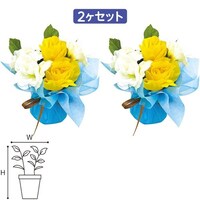 �T�}�[���[�Y�y�A���b�s���O