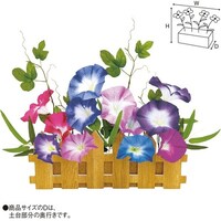 ����_���A�����W