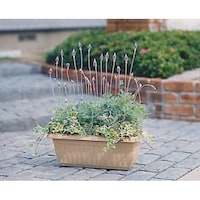 �����[�t�v�����^�[�@�V�O�O�@�E�H�[���x�[�W��