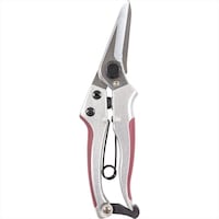 �G�N�V�[�h�@�܍����@��ځ@�Q�P�O