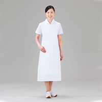 �G���{�X�G�v��������@�o�d�@�v�g�@�k