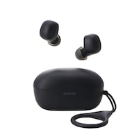 ���C�����X�C���z���@�a�s�����^�@�[�d�P�[�X�@��