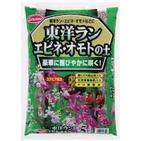 ���m�������т˃I���g�̓y�@�X�e�r�A�z���@�T�k