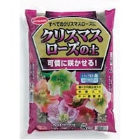 �N���X�}�X���[�Y�̓y�@�X�e�r�A�z���@�T�k