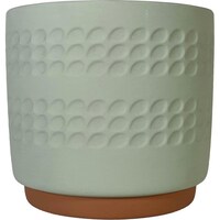 �f�B���v���|�b�g