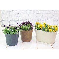 ���݂����|�b�g�@�U���@�z���C�g�@�A�ؔ��@�|�b�g