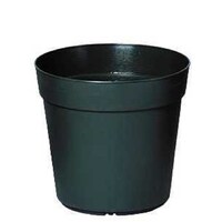 �m�|�b�g�T�O�@���X�O���[���@�m�|�T�O�@���X�f�@�A�ؔ��@�v���X�`�b�N