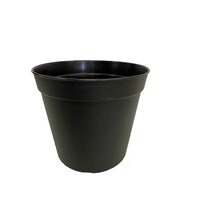 �m�|�b�g�U�O�@�u���b�N�@�m�|�U�O�@�u���b�N�@�A�ؔ��@�v���X�`�b�N