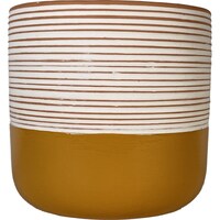 �J���[�|�b�g�@�v�b�P�V�R�Q�|�O�O�T�P�S�O�e�n�q�@�A�ؔ��@���픫