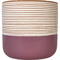 �J���[�|�b�g�@�v�b�P�V�R�Q�|�O�O�T�P�S�O�n�b�c�@�A�ؔ��@���픫