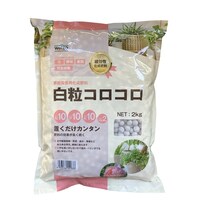 �����R���R���i�o�a�j�@�Q�j���@�엿�@�Ɍ���