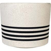 �X�g���C�v�|�b�g�@�p�������@�v�b�P�V�R�R�|�O�O�V�P�Q�O�a�j�@�A�ؔ��@���픫