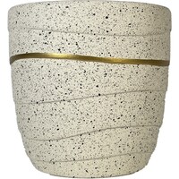 �S�[���h�����O�|�b�g�@�v�b�P�V�R�R�|�O�O�X�P�Q�O�v�g�@�A�ؔ��@���픫