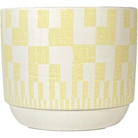 ���_���p�^�[���|�b�g�@�v�b�P�V�R�R�|�O�P�P�P�Q�O�l�x�@�A�ؔ��@���픫