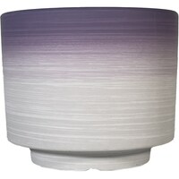 �O���f�[�V�����|�b�g�@�v�b�P�V�R�R�|�O�P�Q�P�Q�O�u�h�@�A�ؔ��@���픫