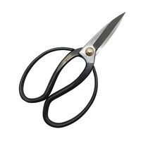 ���O�R�O�T�O�R�@�n���A�����@�P�X�T����