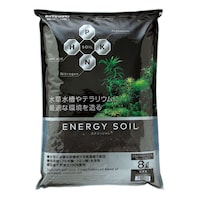 �G�i�W�[�\�C���@�m�[�}���a�j�W�k