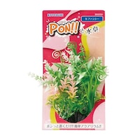 �o�n�m�|�r�@�t�@���V�[