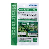 �v�����c�V�[�h�@�n�C�O���@�r�o�@���[�W