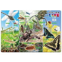 �����}�Ӂi�w���̐}�ӂk�h�u�d�j�@���T�ȏォ�璍���\�i�̔����i�͂P�P�ʂ̉��i�j