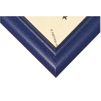 �f�B�Y�j�[�ؐ��P�O�O�O�o�p�l���@�u���[