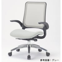 �l�r�|�P�U�X�T�`�t�a�j�f�q�@�i�O���[�j�@�`�F�A�@�w���b�V�����N�b�V�����^�C�v�@�J���[�F�O���[�y���[�J�[�����^����n���z