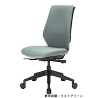 �x�b�|�q�Q�O�O�e�v�|�k�l�@�i���C�g�O���[���j�`�F�A�@�z���C�g�V�F���E�w�N�b�V�����t�@�J���[�F���C�g�O���[���y���[�J�[�����^����n���z