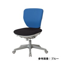 �m�w�b�|�S�O�O�e�i�u���[�j�@�s�G�[�m�`�F�A�@���[�o�b�N�i�A�W���X�g�V���N���^�c�[�g���V�[�g�j�@�J���[�F�u���[�y���[�J�[�����^����n���z