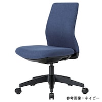 �k�b�|�P�O�O�i�O���[���j�`�F�A�@�w�E���z����@�J���[�F�O���[���y���[�J�[�����^����n���z