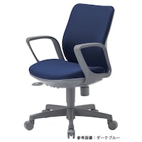 �n�`�|�R�P�P�T�e�i�@�i�x�O���[���j�`�F�A�@���[�o�b�N�@�J���[�F�x�O���[���y���[�J�[�����^����n���z